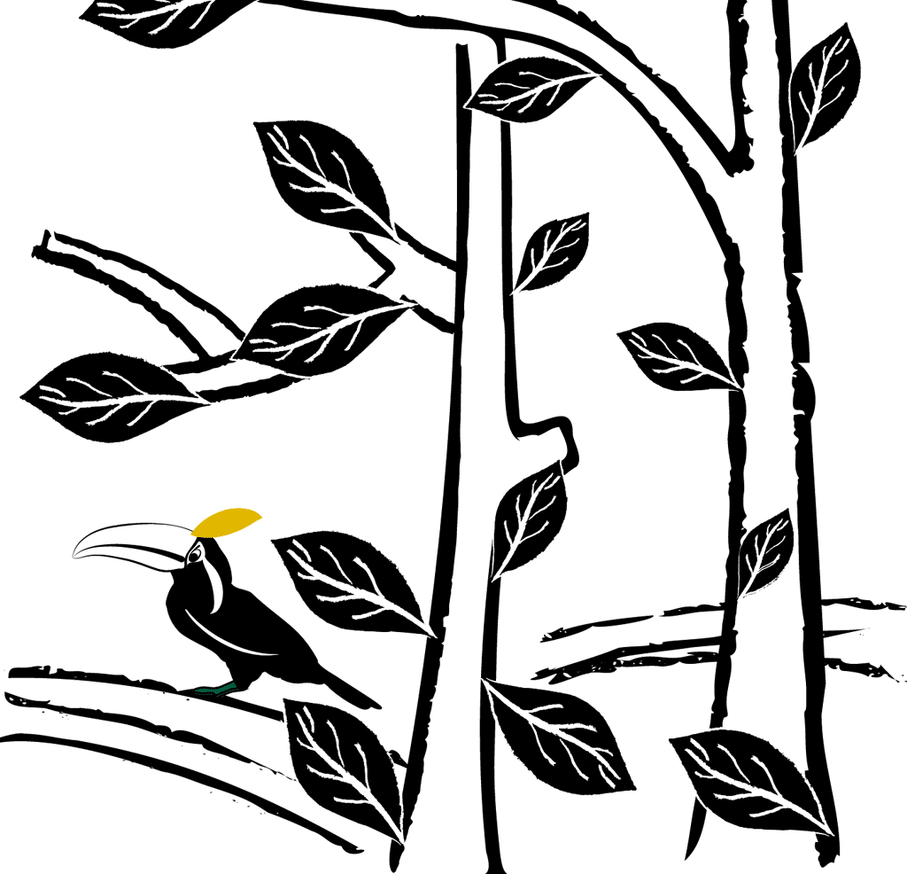 In the forest